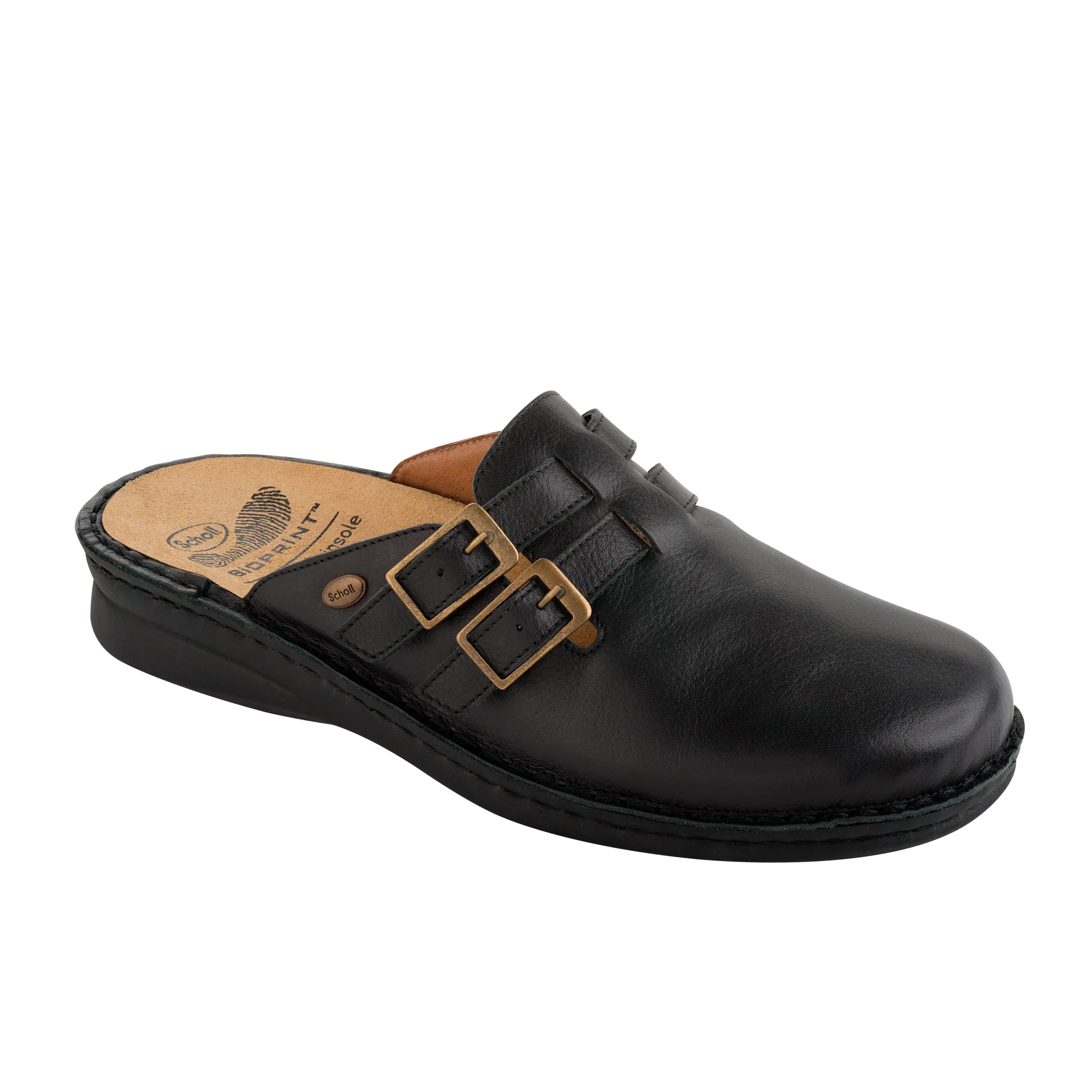 Scholl – New Indoor