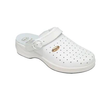 Scholl – New Bonus