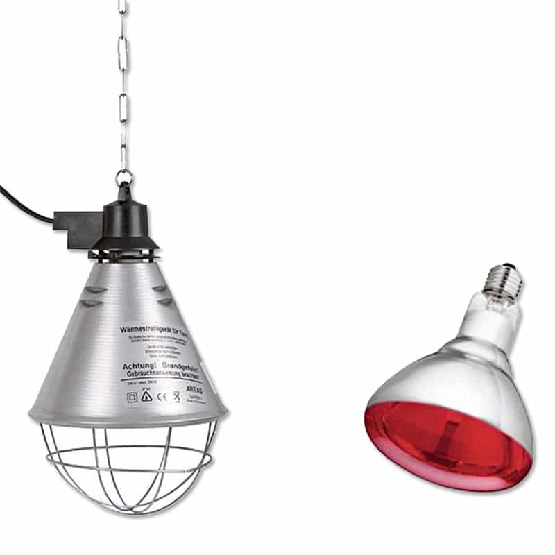 PORTALAMPADA + LAMPADA (250 watt) – Soluzione riscaldante per animali di tutte le specie