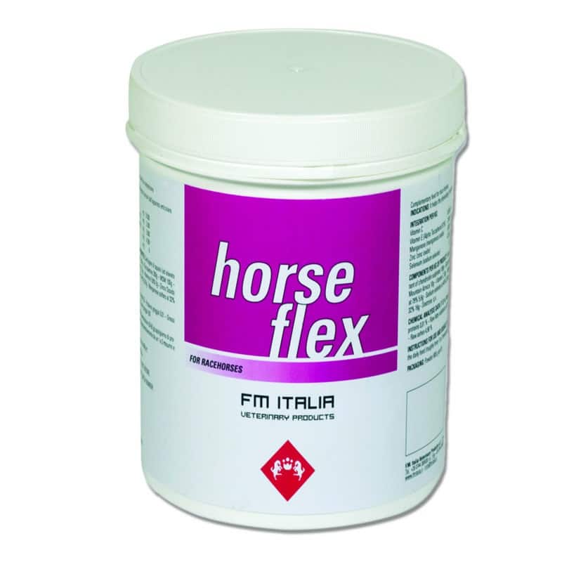 HORSE FLEX (600 gr) – Supporto articolare completo per cavalli sportivi