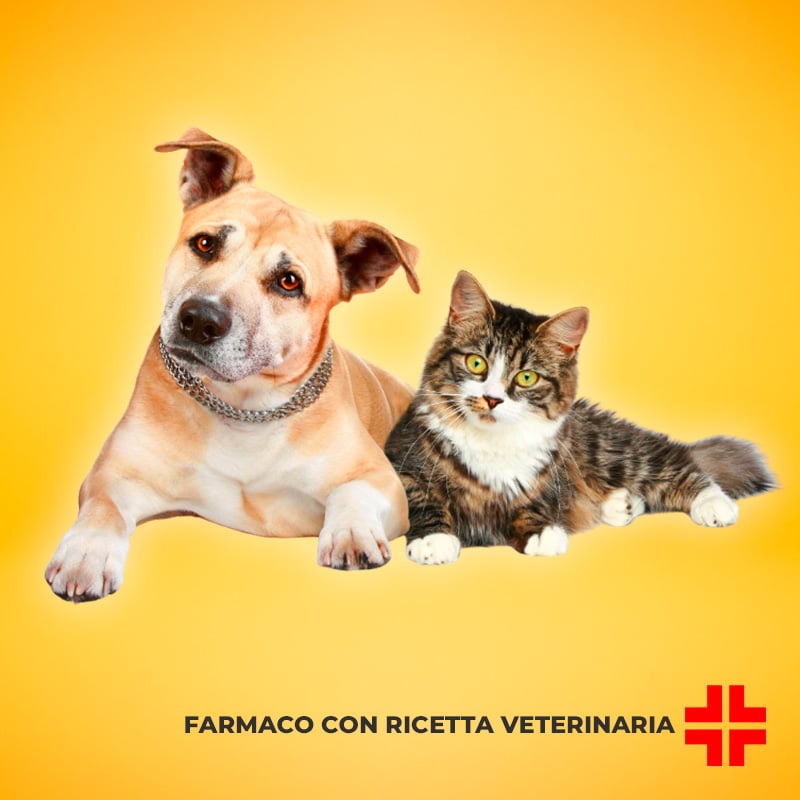 NISAMOX 250 MG (50 cpr) – Antibatterico in compresse per cani e gatti