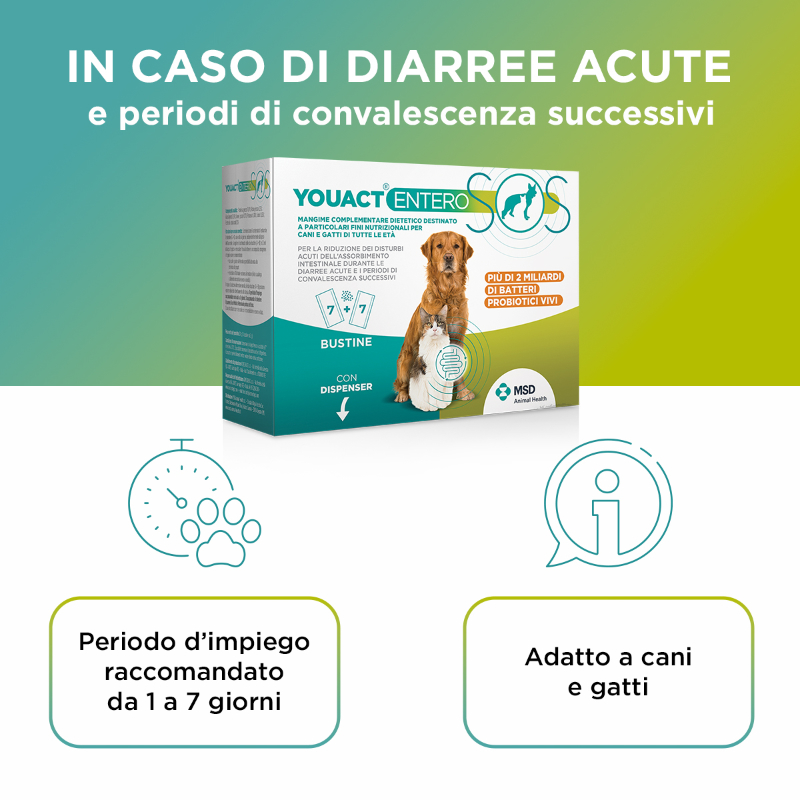 YOUACT ENTERO SOS (14 bustine) – Mangime complementare per ridurre i disturbi intestinali di cani e gatti - immagine 2