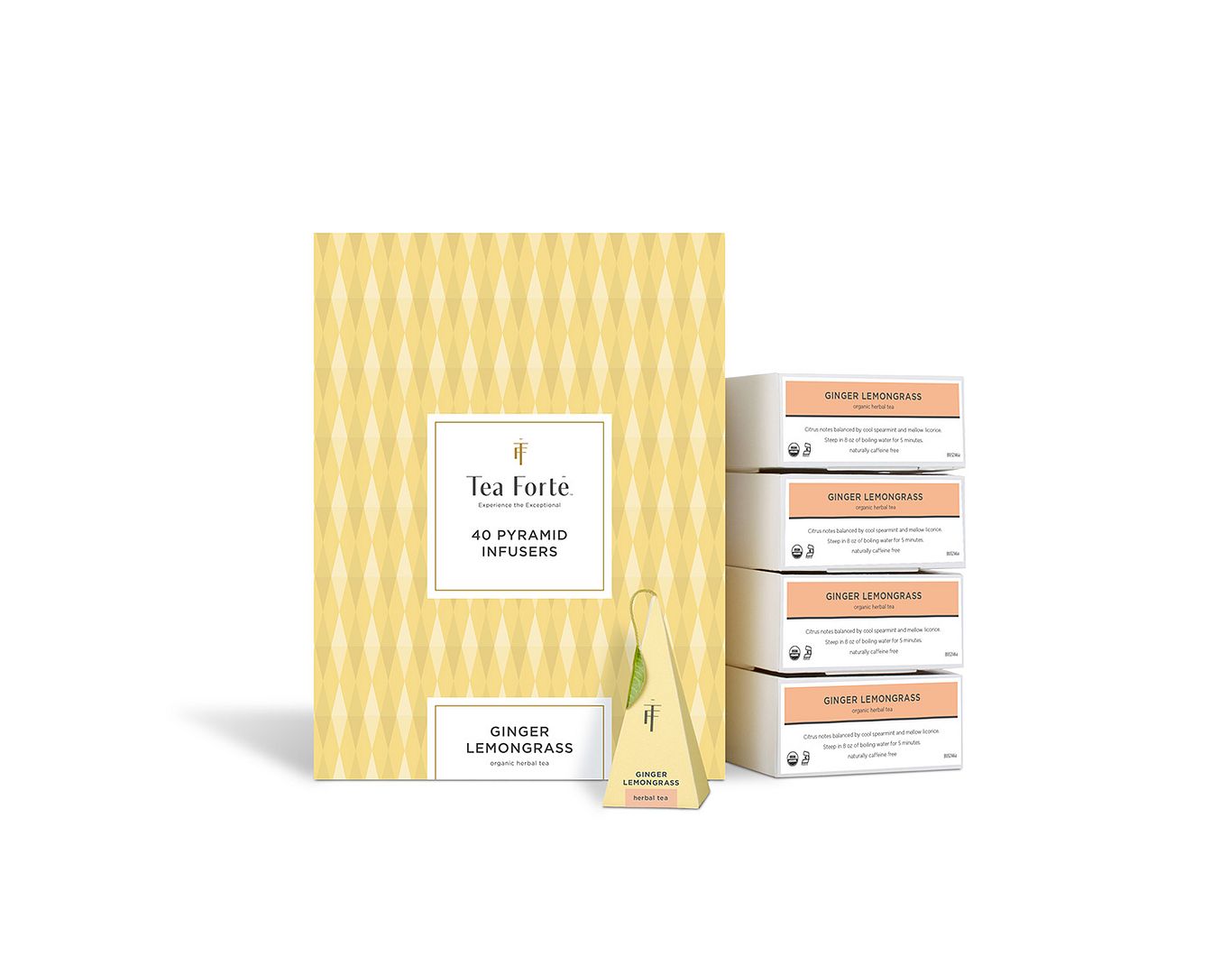 TEA Fortè Box 40 Piramidi – GINGER LEMONGRASS – TISANA ZENZERO LEMONGRASS BIO